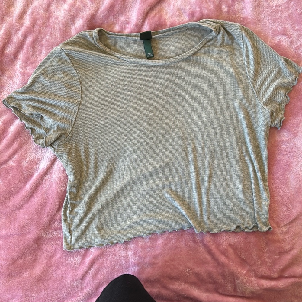 Wild Fable Size XXL‎ Gray Crop Short Sleeve T-Shirt